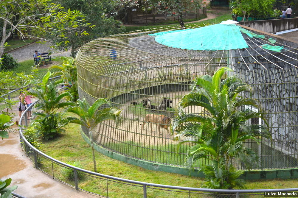Zoológico de Aracaju