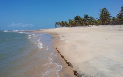 Praia de Ponta dos Mangues